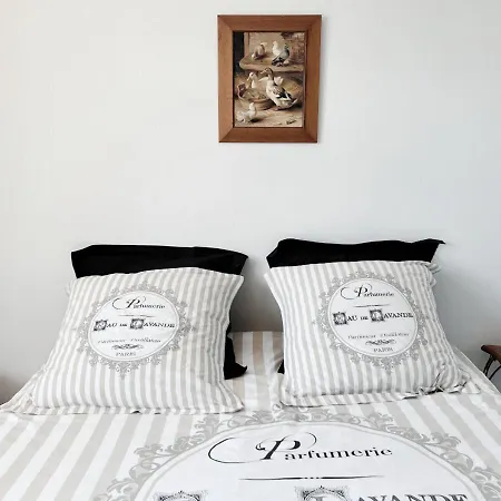 Maison Leon *